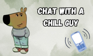 Chat With A Chill Guy