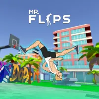 mr-flip