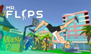 mr-flip